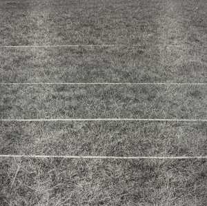Perspective Correction, 4 Horizontal Lines