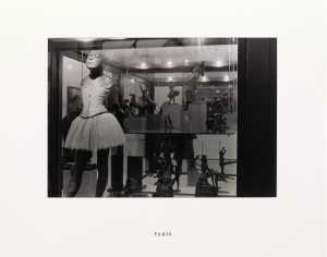 glass-cage-glazen-kooi