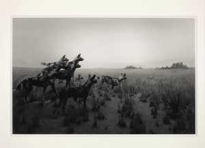 hunting-dog-jachthond