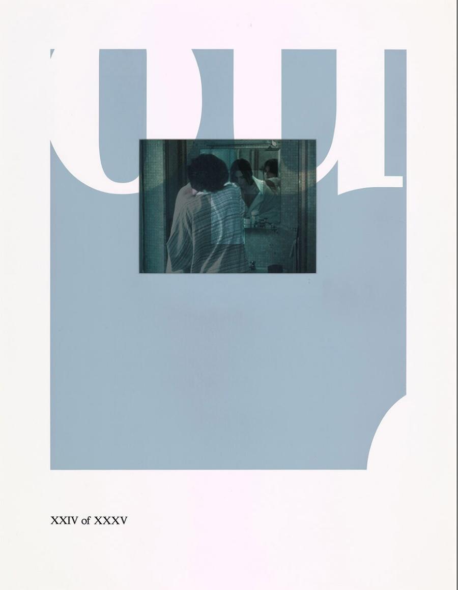 XXIV of XXXV (XXIV of XXXV)