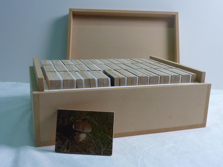 Zonder titel (S4 W1 D75)