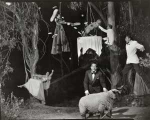 midsummer-night-s-mare-midzomernachtmerrie