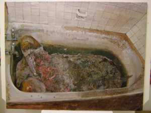 TMSFoto/MK/3606 (MK).jpg