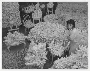 photograph-of-yayoi-kusama-s-compulsion-furniture-accumulation-circa-1964