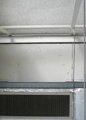 TMSFoto/MK/3678 (MK)_David M..jpg