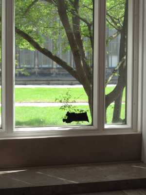 TMSFoto/MK/3678 (MK)_Jeroen J..JPG