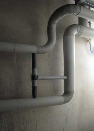 TMSFoto/MK/3678 (MK)_Leon D..jpg