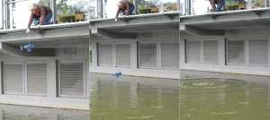 TMSFoto/MK/3678 (MK)_Marianne F..jpg