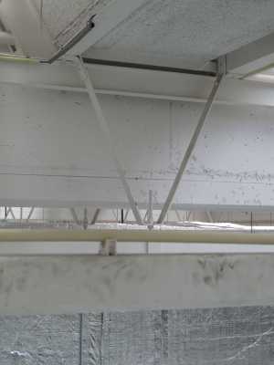 TMSFoto/MK/3678 (MK)_Robert K..JPG