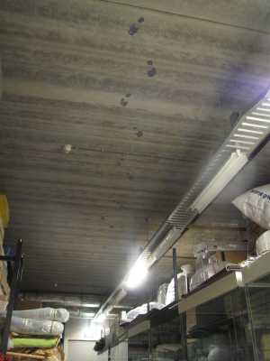 TMSFoto/MK/3678 (MK)_Ruud G..JPG