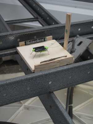 TMSFoto/MK/3678 (MK)_Stefan G. 2.JPG