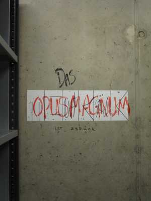 TMSFoto/MK/3678 (MK)_Wouter L..JPG