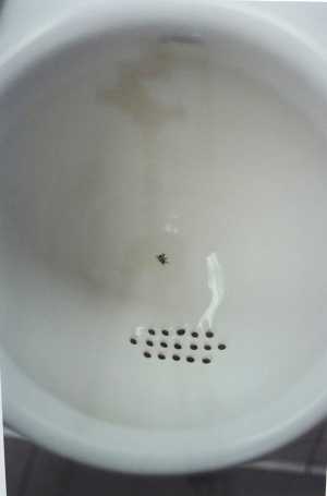 TMSFoto/MK/3693 (MK).JPG