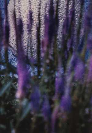 TMSFoto/MK/3715-14 (MK)_JT20190624.jpg