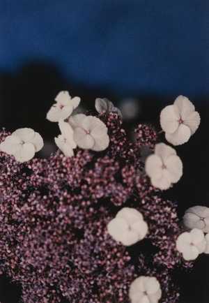 TMSFoto/MK/3715-19 (MK)_JT20190624.jpg