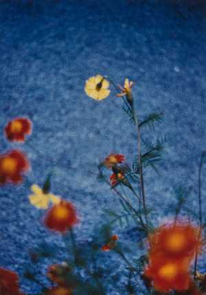 TMSFoto/MK/3715-20 (MK)_JT20190624.jpg