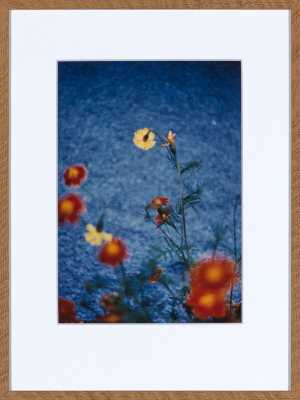 Aqua Azul, 1987