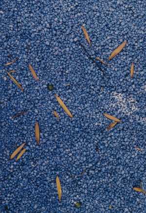 TMSFoto/MK/3715-21 (MK)_JT20190624.jpg