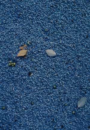 TMSFoto/MK/3715-22 (MK)_JT20190624.jpg