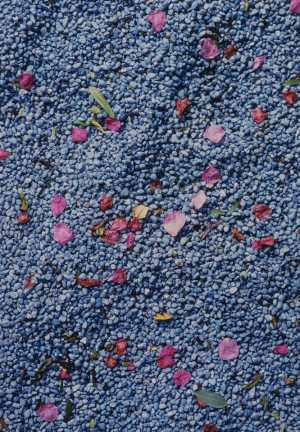 TMSFoto/MK/3715-23 (MK)_JT20190624.jpg