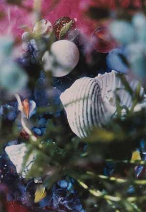 TMSFoto/MK/3715-24 (MK)_JT20190624.jpg