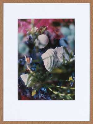 Aqua Azul, 1987