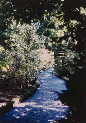 TMSFoto/MK/3715-25 (MK)_JT20190624.jpg