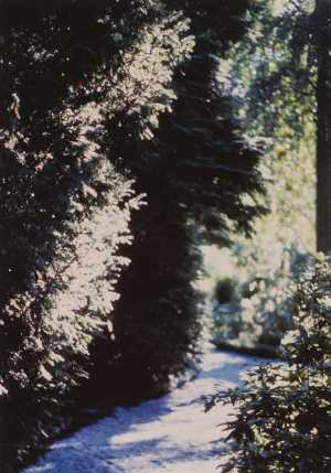 TMSFoto/MK/3715-27 (MK)_JT20190624.jpg