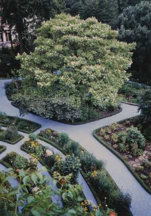 TMSFoto/MK/3715-30 (MK)_JT20190624.jpg