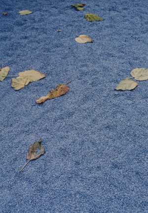 TMSFoto/MK/3715-31 (MK)_JT20190624.jpg