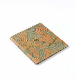 TMSFoto/MK/3726 (MK) dicht_JT20160912.jpg