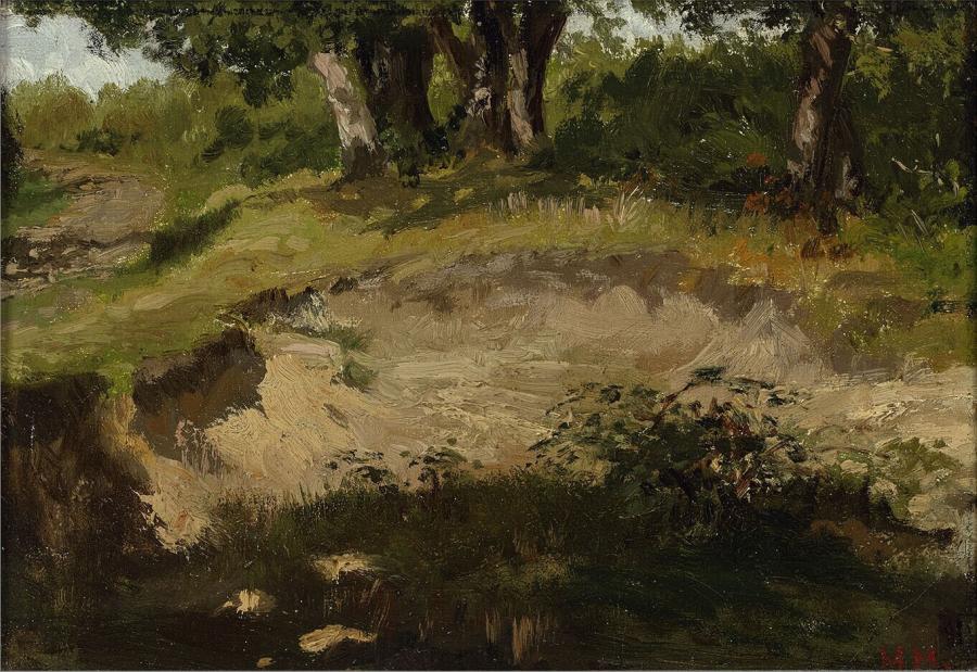 A sandy bank with trees