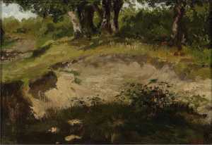 a-sandy-bank-with-trees