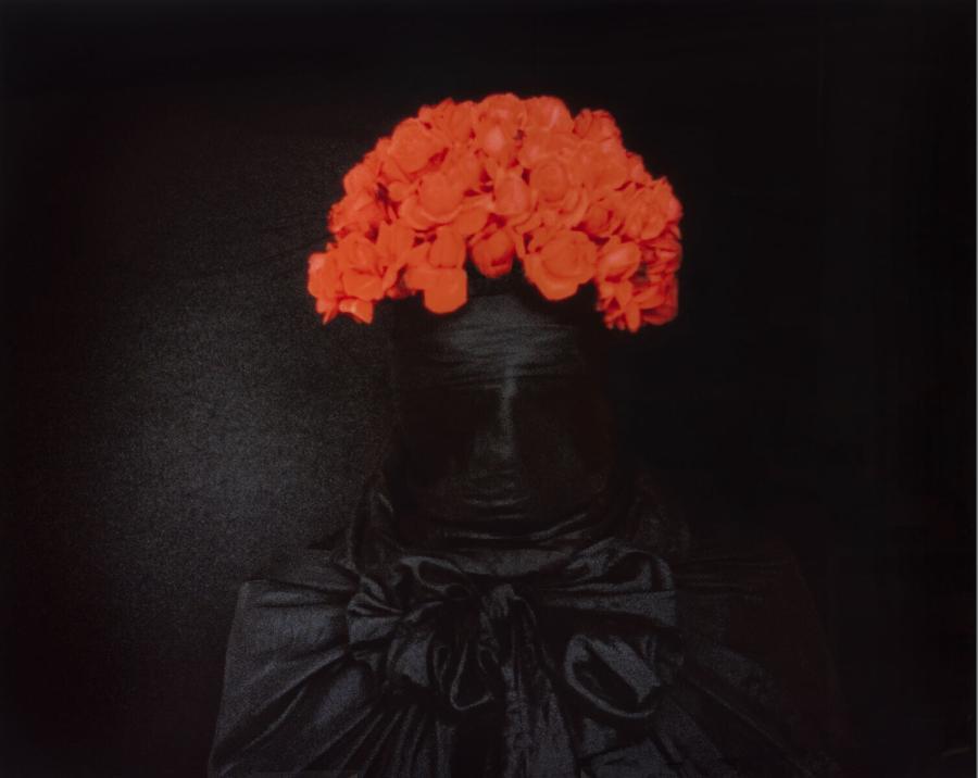 The Sage of Rotterdam is in the Tower