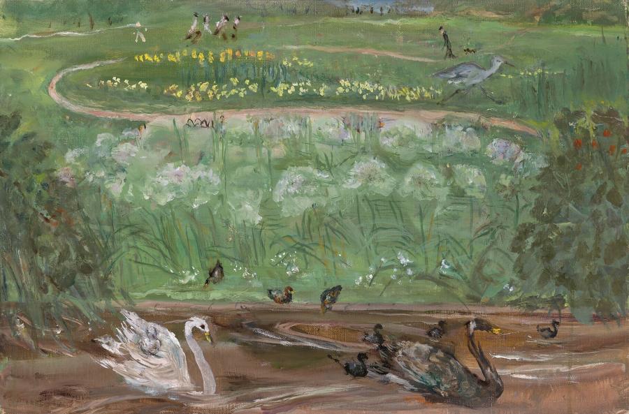 In the park with swans (In het park met zwanen)