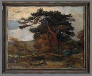 TMSFoto/MK/4258 (MK) met lijst_JT20211210.jpg