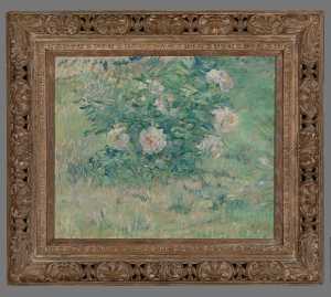 TMSFoto/MK/4321 (MK) met lijst_JT20230227.jpg