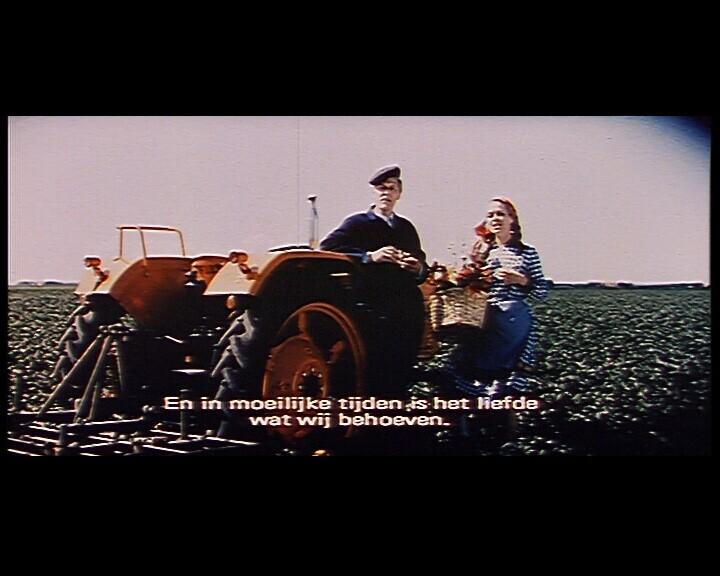 Summer in the fields (Zomer in de velden)