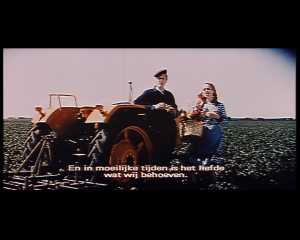 summer-in-the-fields-zomer-in-de-velden