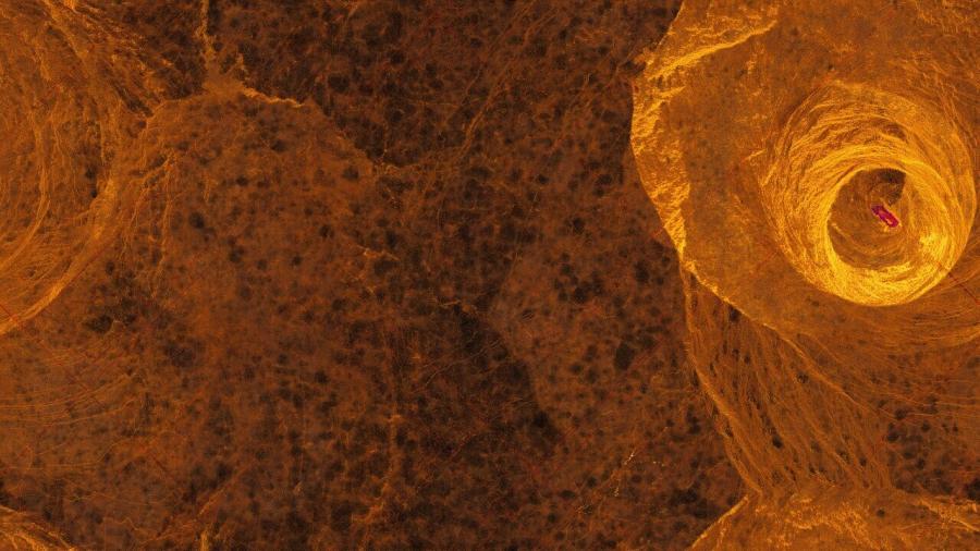 E-volved Cultures 1.2, Triplet #6 (Geëvolueerde culturen 1.2, drieling #6)