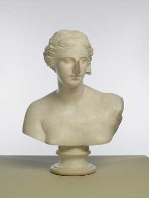 TMSFoto/MK/BEK 1466 (MK)_1.jpg