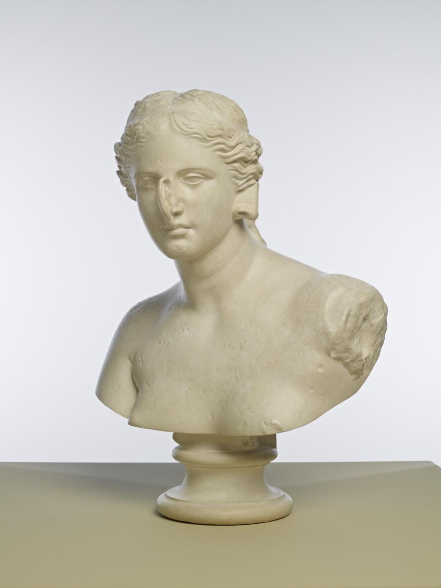 Tête otorhinologique de Vénus