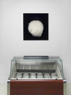 TMSFoto/MK/BEK 1578 a-b (MK)_1.jpg