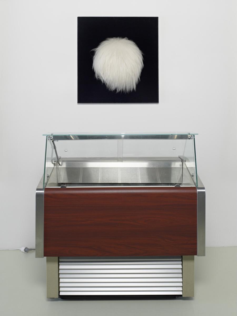 Ice, Refrigerator, Polar Bear