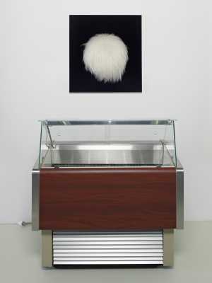 ice-refrigerator-polar-bear