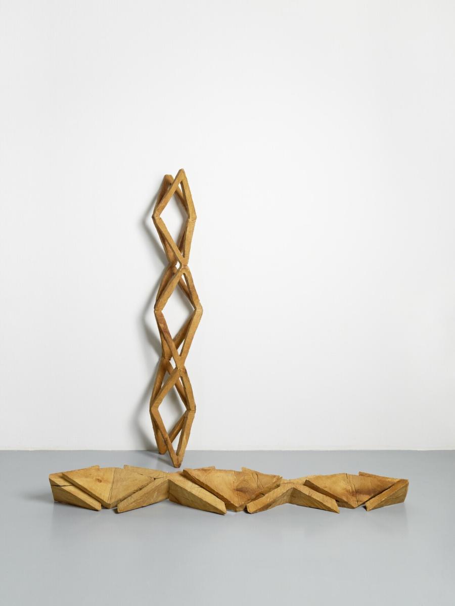 Vorkvormen en dubbele vorkvormen uit frame