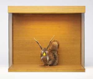 misfit-iv-buitenbeentje-iv