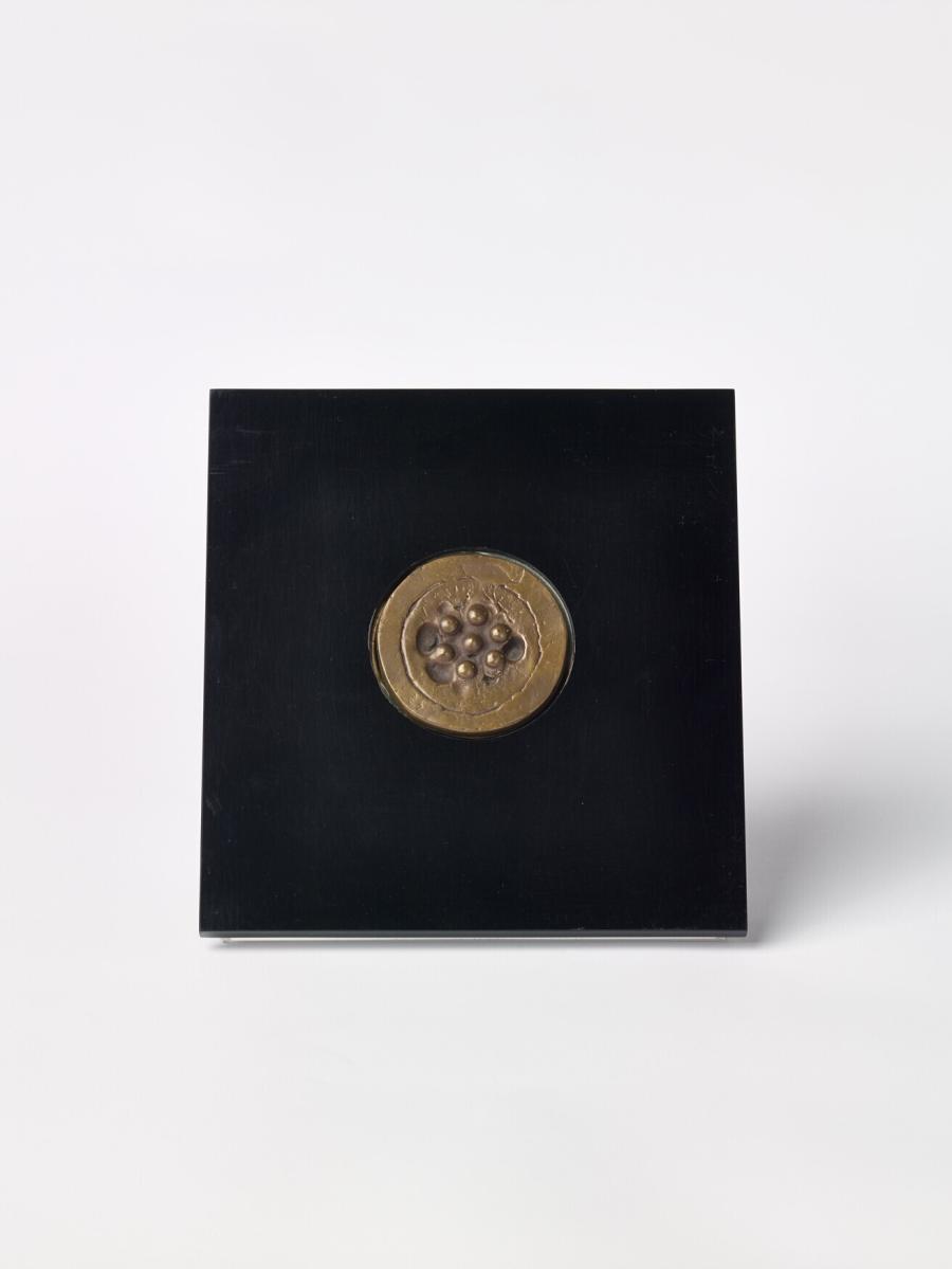 Bouche-évier (Afvoerstop)