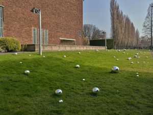 TMSFoto/MK/BEK 1733 1-128 (MK)_JT20150327_08.jpg