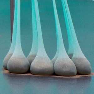 TMSFoto/MK/BEK 1738_1.jpg